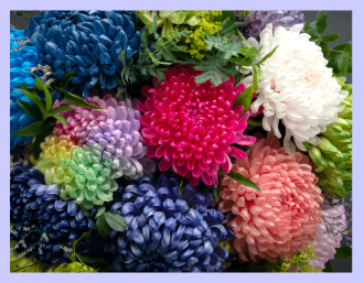 岡崎会場のイベント情報イメージ