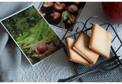 モデルハウス見学予約イメージ