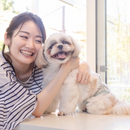 無料オンラインセミナーイメージ