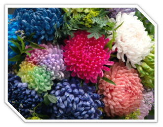 岡崎会場のイベント情報イメージ