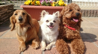 岡崎会場のイベント情報イメージ