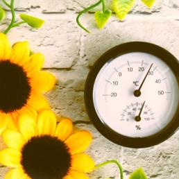 「暮らしと家づくり」コラムイメージ