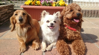 岡崎会場のイベント情報イメージ