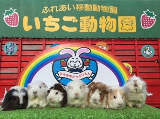 豊橋会場のイベント情報イメージ