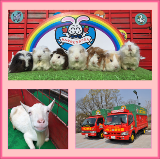 岡崎会場のイベント情報イメージ